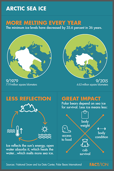 FACT/ION Arctic Sea Ice infographic