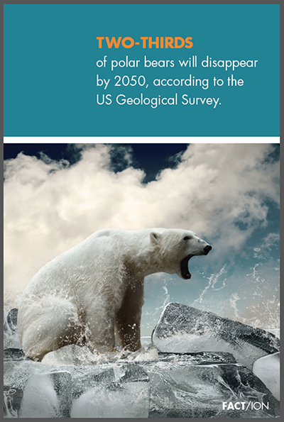 FACT/ION poster about Arctic Sea Ice