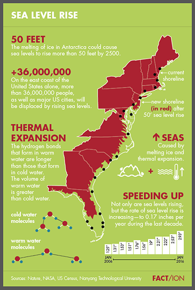FACT/ION Sea Level Rise infographic